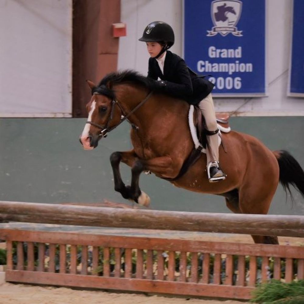 Meet your Posher, Addison